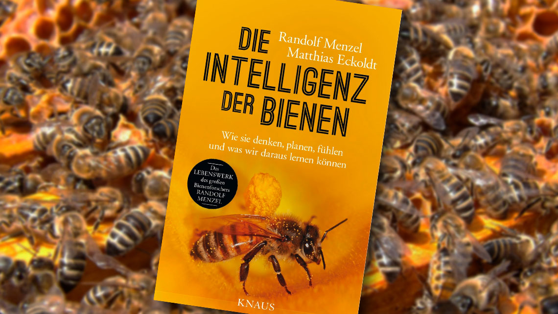 Einladung zum Vortrag: Die Intelligenz der Bienen